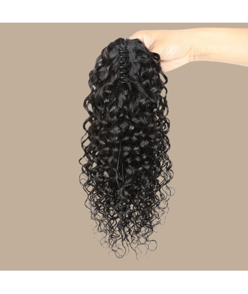 Rabo de cavalo castanho-escuro natural com mola de cabelo Remy Water Wave Vous souhaitez 