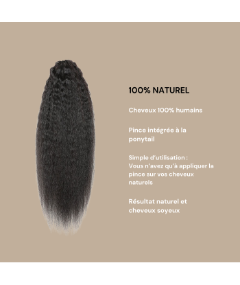 Rabo de cavalo castanho-escuro natural com mola para cabelo liso crespo france