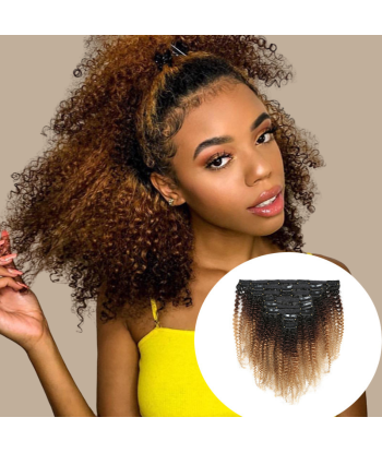 Afro Curly Ombre Brown Chocolate Blonde Clip-In Extensions Kit 120 gr. Le MVP de beaucoup