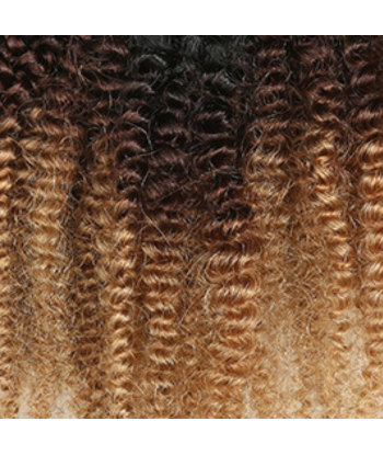 Afro Curly Ombre Brown Chocolate Blonde Clip-In Extensions Kit 120 gr. Le MVP de beaucoup