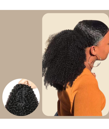 Paardenstaart donkerbruin met natuurlijke clip Remy haar Afro krullend Véritable concentré