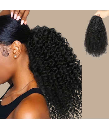 Paardenstaart donkerbruin met natuurlijke clip Remy haar Afro krullend Véritable concentré