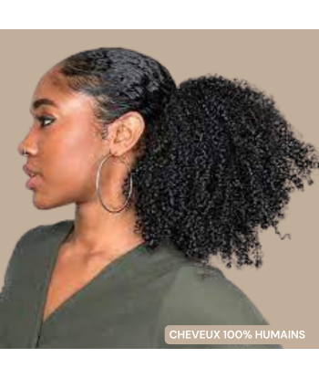 Paardenstaart donkerbruin met natuurlijke clip Remy haar Afro krullend Véritable concentré