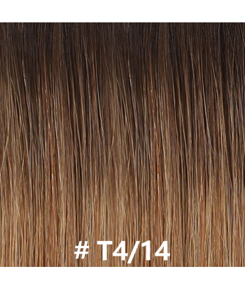 Tissage Cheveux Raides Premium Russian Hair T4/14 Les êtres humains sont 