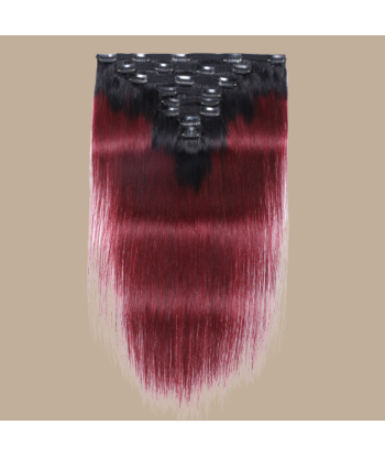 Rak Ombre Mörkbrun Clips Extensions Kit 99J 120 gr basket pas cher